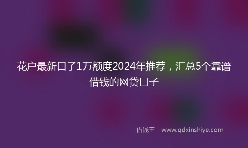 花户最新口子1万额度2024年推荐，汇总5个靠谱借钱的网贷口子