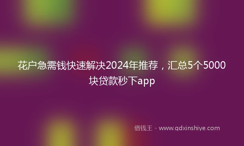 花户急需钱快速解决2024年推荐，汇总5个5000块贷款秒下app