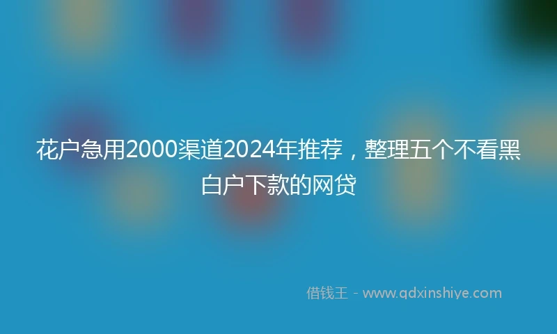 花户急用2000渠道2024年推荐，整理五个不看黑白户下款的网贷