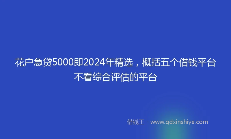 花户急贷5000即2024年精选，概括五个借钱平台不看综合评估的平台