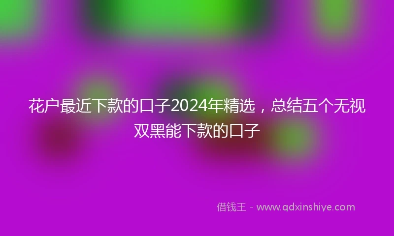 花户最近下款的口子2024年精选，总结五个无视双黑能下款的口子