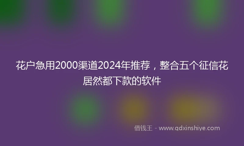 花户急用2000渠道2024年推荐，整合五个征信花居然都下款的软件