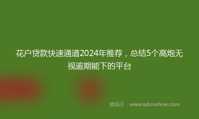 花户贷款快速通道2024年推荐，总结5个高炮无视逾期能下的平台
