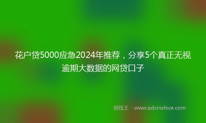 花户贷5000应急2024年推荐，分享5个真正无视逾期大数据的网贷口子