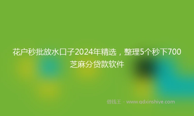 花户秒批放水口子2024年精选，整理5个秒下700芝麻分贷款软件