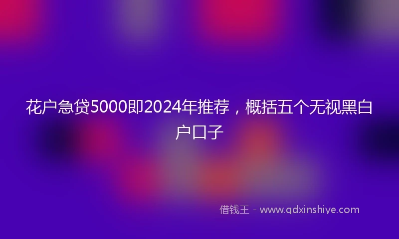 花户急贷5000即2024年推荐，概括五个无视黑白户口子