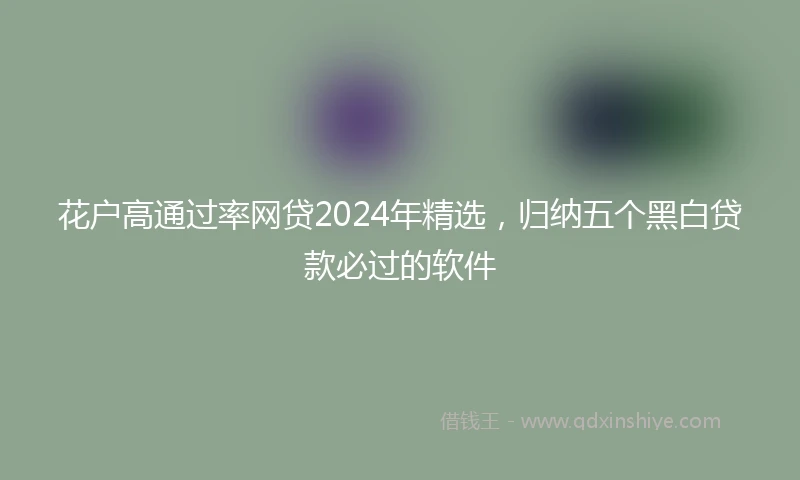 花户高通过率网贷2024年精选，归纳五个黑白贷款必过的软件