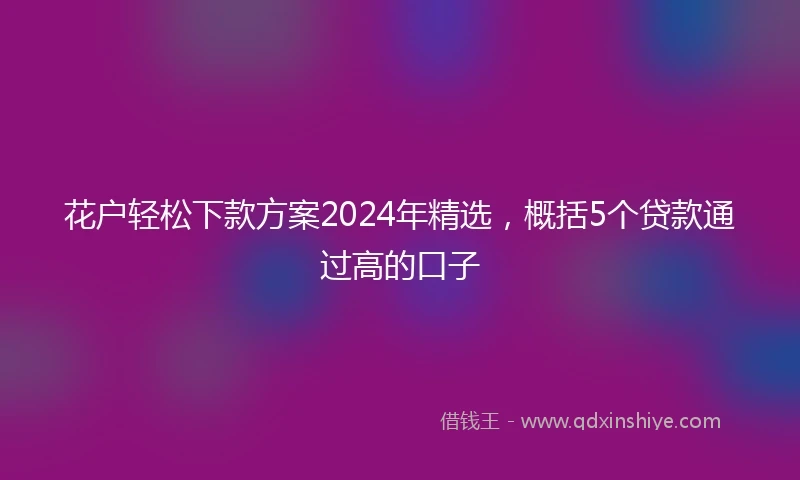 花户轻松下款方案2024年精选，概括5个贷款通过高的口子