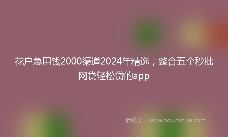花户急用钱2000渠道2024年精选,整合五个秒批网贷轻松贷的app
