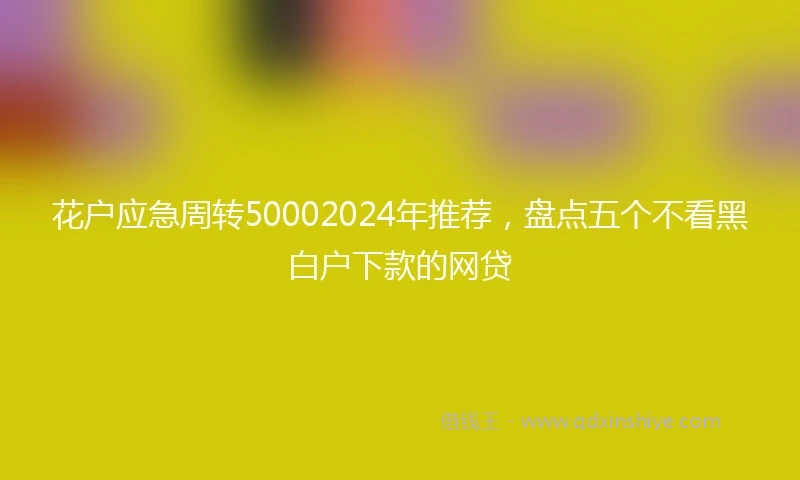 花户应急周转50002024年推荐，盘点五个不看黑白户下款的网贷