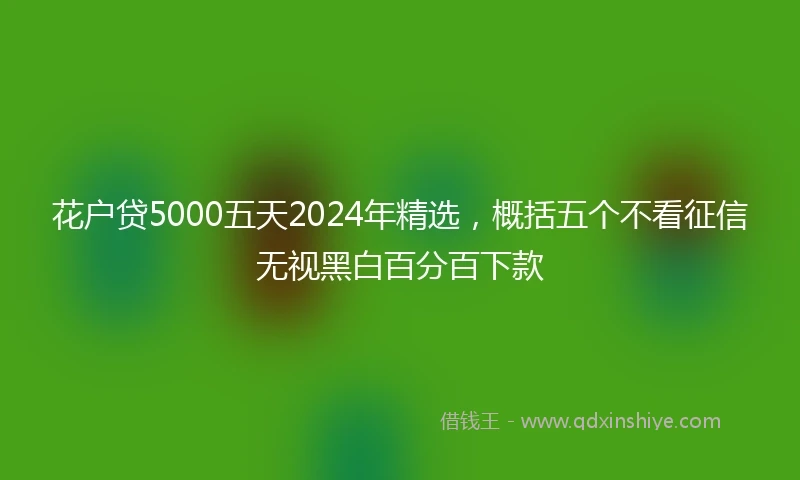 花户贷5000五天2024年精选，概括五个不看征信无视黑白百分百下款