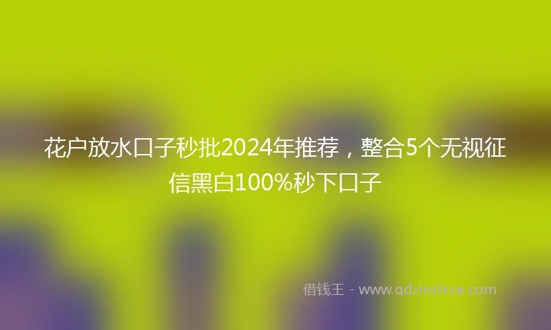 花户放水口子秒批2024年推荐，整合5个无视征信黑白100%秒下口子