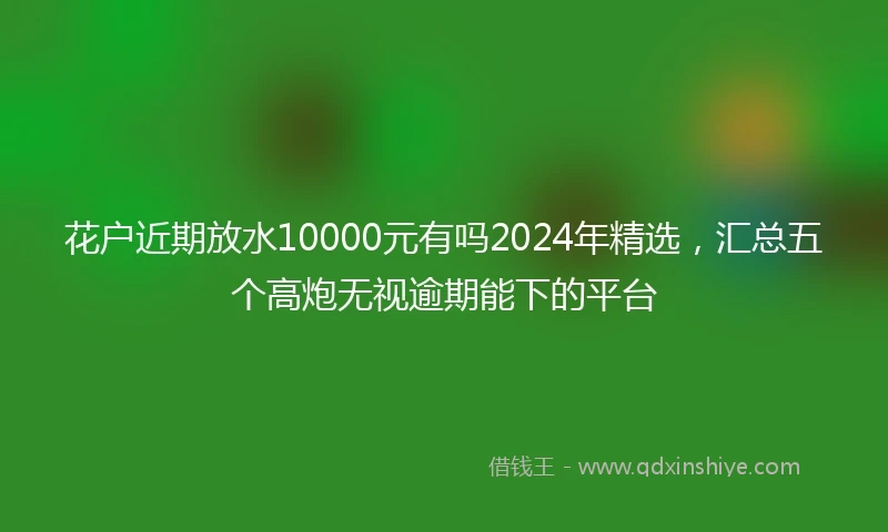 花户近期放水10000元有吗2024年精选，汇总五个高炮无视逾期能下的平台