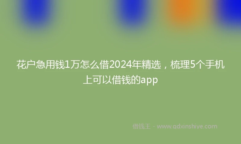 花户急用钱1万怎么借2024年精选，梳理5个手机上可以借钱的app