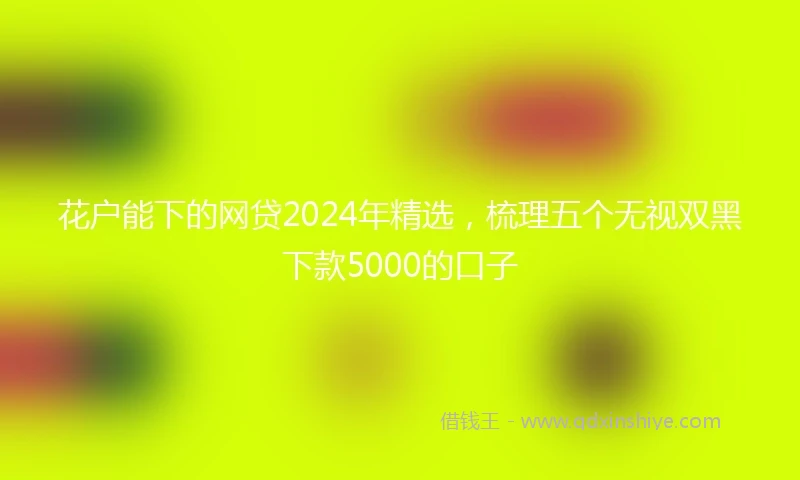 花户能下的网贷2024年精选，梳理五个无视双黑下款5000的口子