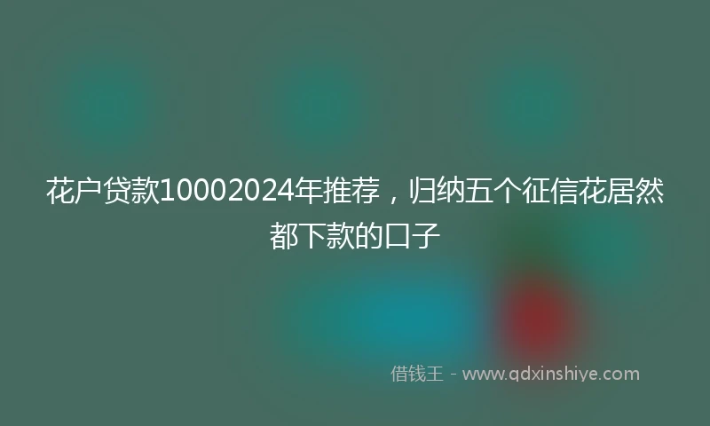 花户贷款10002024年推荐，归纳五个征信花居然都下款的口子