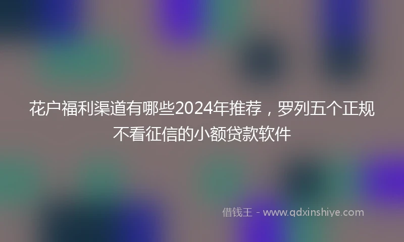 花户福利渠道有哪些2024年推荐，罗列五个正规不看征信的小额贷款软件