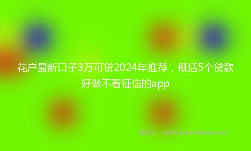 花户最新口子3万可贷2024年推荐，概括5个贷款好做不看征信的app