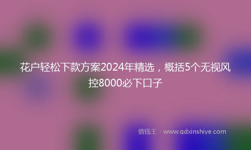 花户轻松下款方案2024年精选，概括5个无视风控8000必下口子