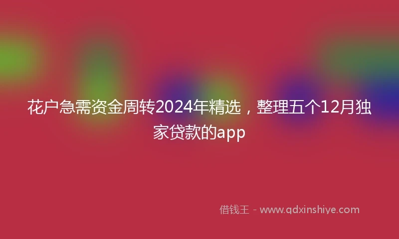 花户急需资金周转2024年精选，整理五个12月独家贷款的app
