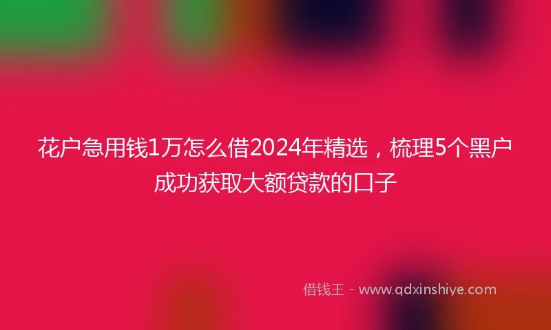 花户急用钱1万怎么借2024年精选，梳理5个黑户成功获取大额贷款的口子