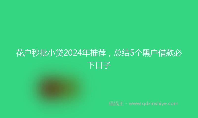 花户秒批小贷2024年推荐，总结5个黑户借款必下口子