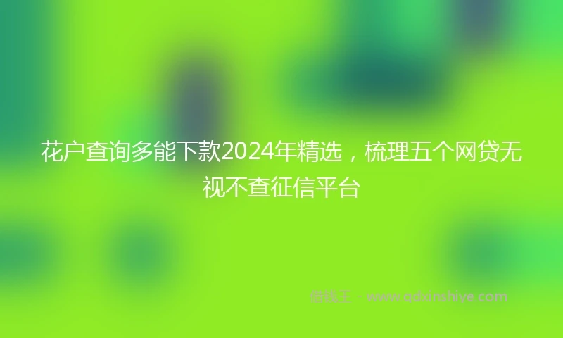 花户查询多能下款2024年精选，梳理五个网贷无视不查征信平台