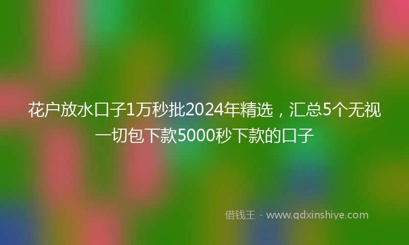 花户放水口子1万秒批2024年精选，汇总5个无视一切包下款5000秒下款的口子