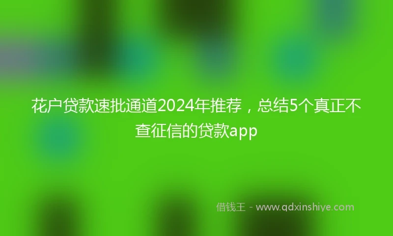 花户贷款速批通道2024年推荐，总结5个真正不查征信的贷款app