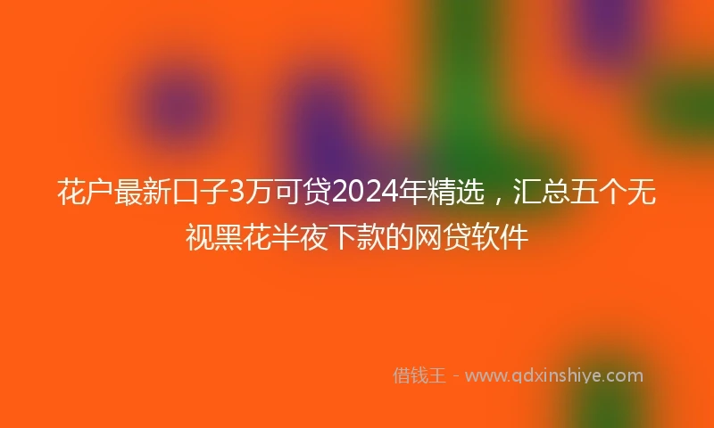 花户最新口子3万可贷2024年精选，汇总五个无视黑花半夜下款的网贷软件