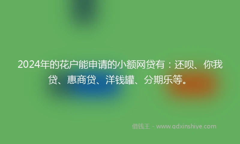2024年的花户能申请的小额网贷有：还呗、你我贷、惠商贷、洋钱罐、分期乐等。