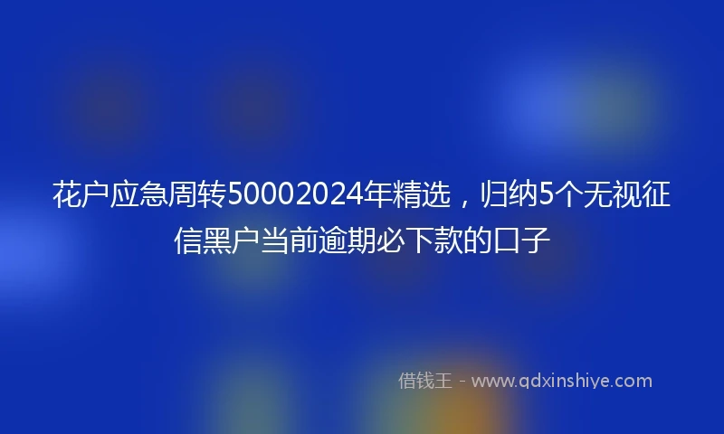 花户应急周转50002024年精选，归纳5个无视征信黑户当前逾期必下款的口子