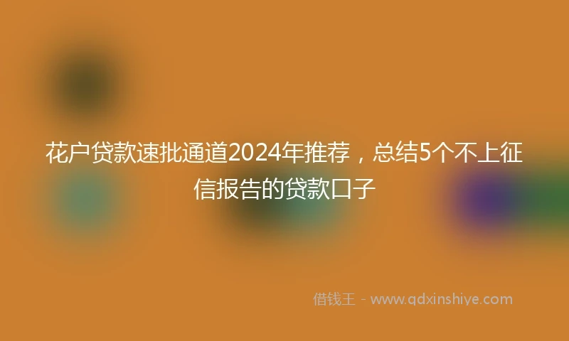 花户贷款速批通道2024年推荐，总结5个不上征信报告的贷款口子