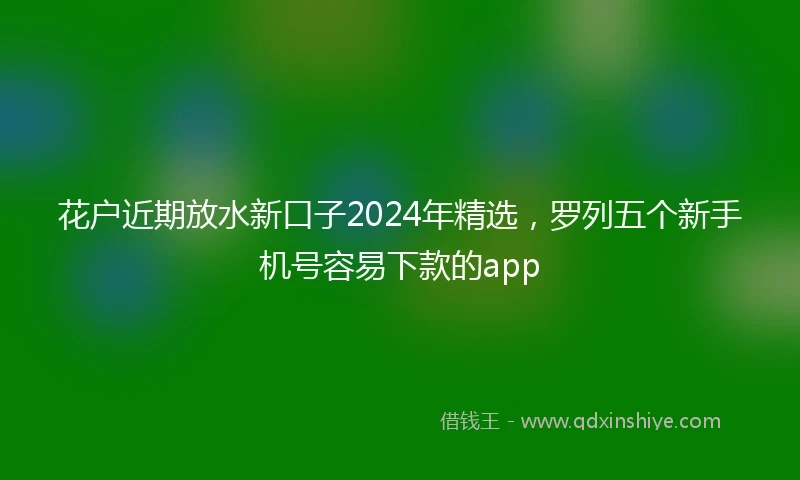 花户近期放水新口子2024年精选，罗列五个新手机号容易下款的app