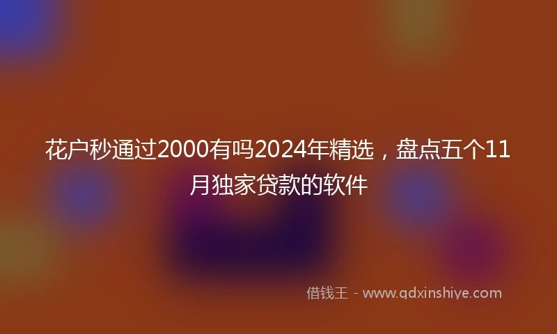 花户秒通过2000有吗2024年精选，盘点五个11月独家贷款的软件
