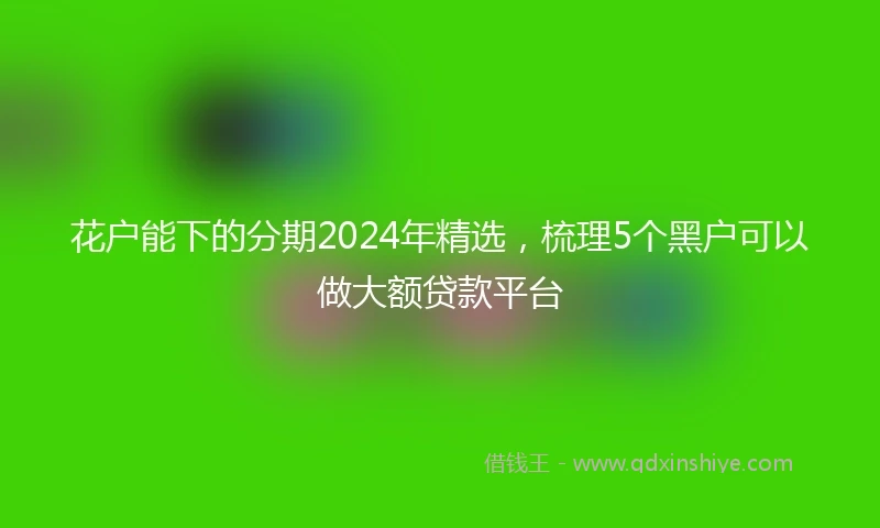 花户能下的分期2024年精选，梳理5个黑户可以做大额贷款平台