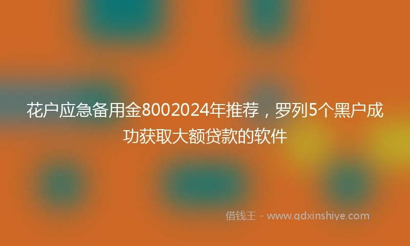 花户应急备用金8002024年推荐，罗列5个黑户成功获取大额贷款的软件
