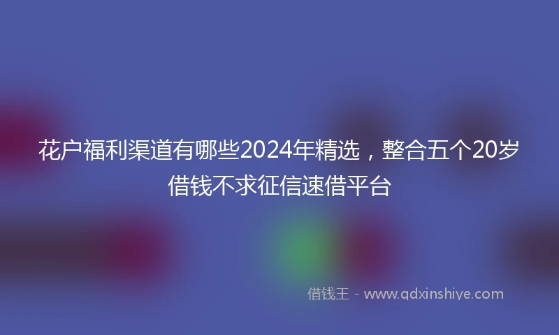 花户福利渠道有哪些2024年精选，整合五个20岁借钱不求征信速借平台