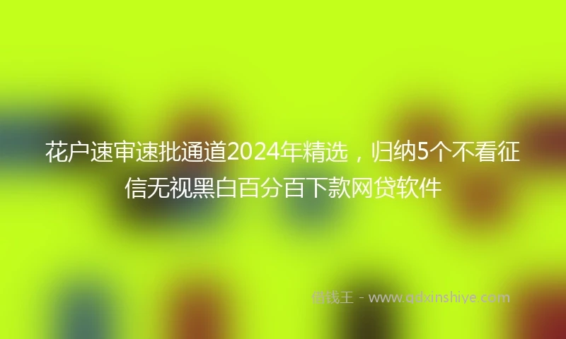 花户速审速批通道2024年精选，归纳5个不看征信无视黑白百分百下款网贷软件