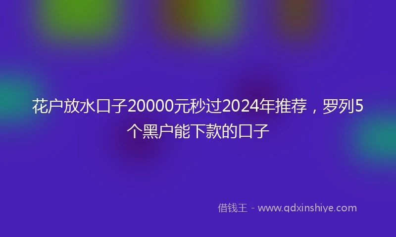 花户放水口子20000元秒过2024年推荐，罗列5个黑户能下款的口子