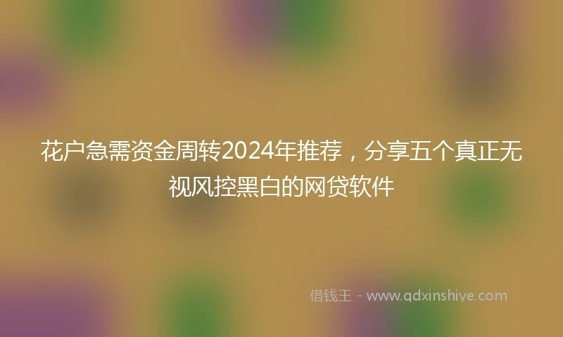 花户急需资金周转2024年推荐，分享五个真正无视风控黑白的网贷软件