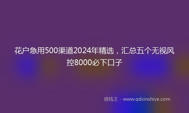花户急用500渠道2024年精选，汇总五个无视风控8000必下口子