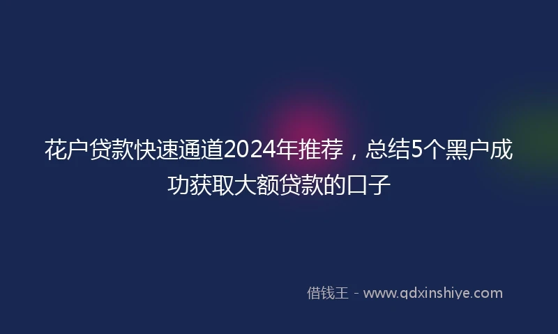 花户贷款快速通道2024年推荐，总结5个黑户成功获取大额贷款的口子