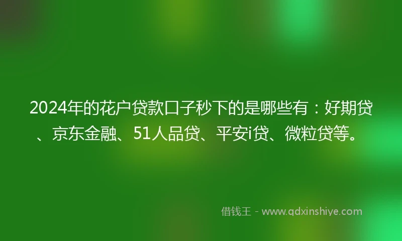 2024年的花户贷款口子秒下的是哪些有：好期贷、京东金融、51人品贷、平安i贷、微粒贷等。