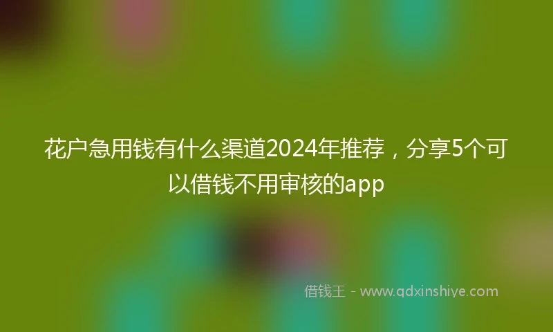 花户急用钱有什么渠道2024年推荐,分享5个可以借钱不用审核的app