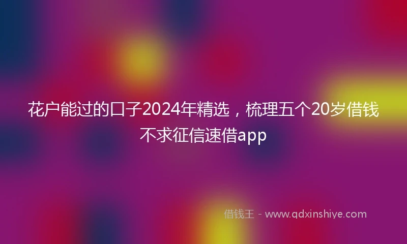 花户能过的口子2024年精选，梳理五个20岁借钱不求征信速借app