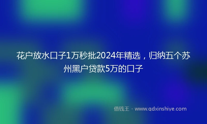 花户放水口子1万秒批2024年精选，归纳五个苏州黑户贷款5万的口子