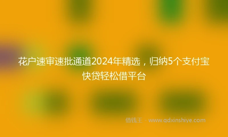 花户速审速批通道2024年精选，归纳5个支付宝快贷轻松借平台