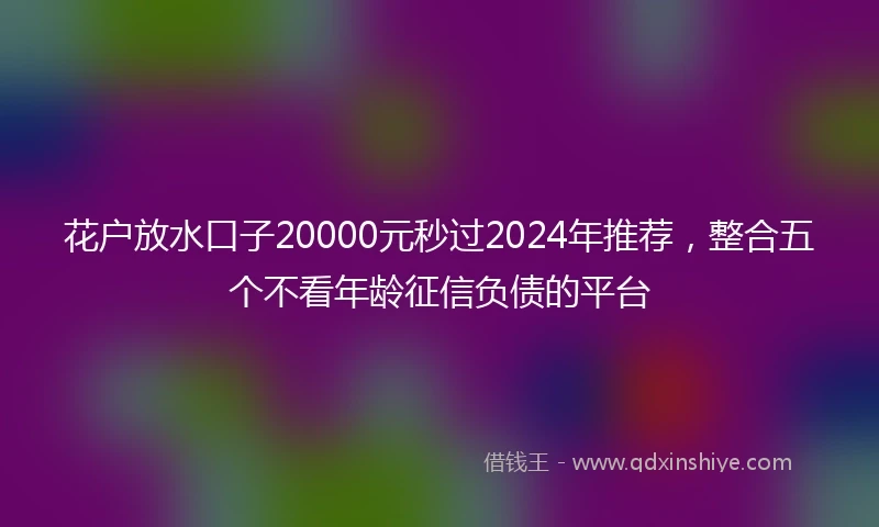 花户放水口子20000元秒过2024年推荐，整合五个不看年龄征信负债的平台