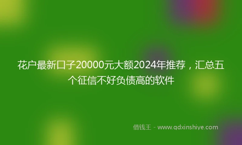 花户最新口子20000元大额2024年推荐，汇总五个征信不好负债高的软件
